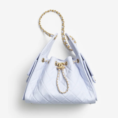 CHANEL 25 Small Handbag